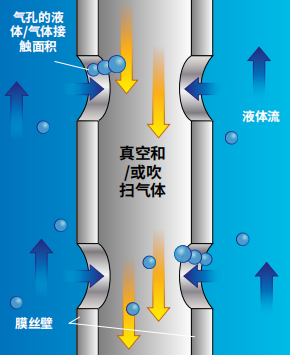 气体分离膜用于制药用水除氧的工艺应用