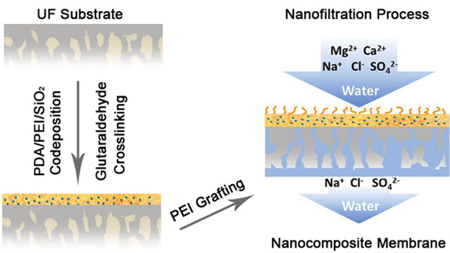 “基于可控表界面工程的聚合物納濾膜”獲系列新進展