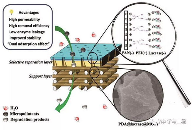 基于MOFs的“3D修饰”制备高通量生物催化膜改性策略