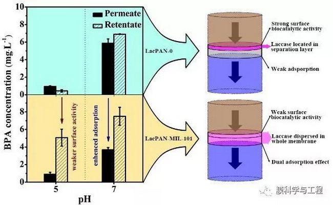 基于MOFs的“3D修饰”制备高通量生物催化膜改性策略