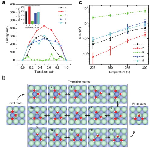 钠离子水合物在NaCl表面输运的幻数效应。a，第一性原理计算得到的不同离子水合物扩散的势垒；b，第一性原理计算得到的含有三个水分子的钠离子水合物的扩散过程；c，分子动力学模拟得到的不同离子水合物在225K～300K下1ns时间内扩散的均方位移。