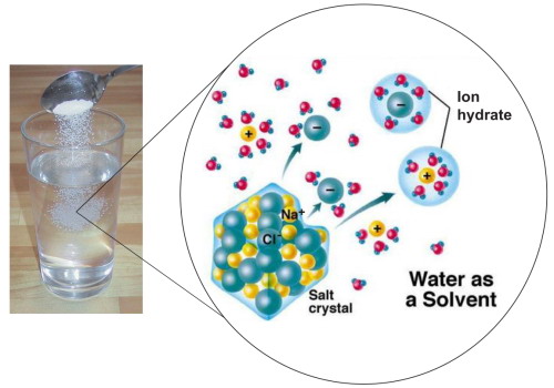 水分子使氯化钠（NaCl）溶解形成离子水合物