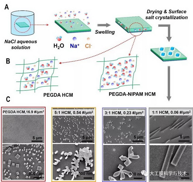新型水凝胶膜连续、高选择性制备生物大分子晶体研究
