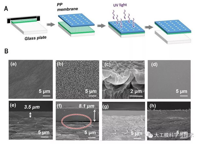 新型水凝胶膜连续、高选择性制备生物大分子晶体研究