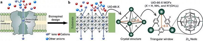 分离膜构建仿生氟离子选择性MOF通道用于含氟废水去氟