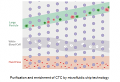 The Significance of Circulating Tumor Cell Sorter for Early-S